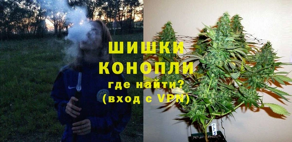 ГАЛЛЮЦИНОГЕННЫЕ ГРИБЫ Баксан