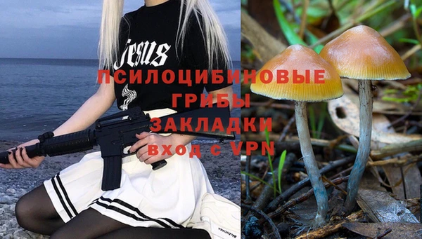 ГАЛЛЮЦИНОГЕННЫЕ ГРИБЫ Баксан