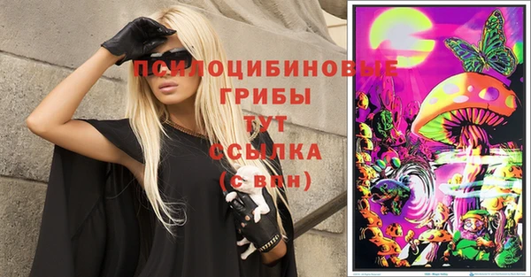 мдпв Балабаново