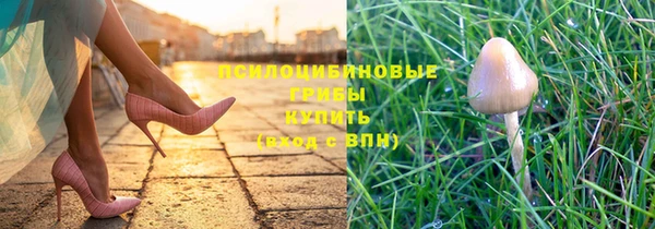 ГАЛЛЮЦИНОГЕННЫЕ ГРИБЫ Баксан