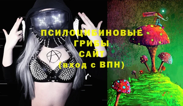 СК Балахна
