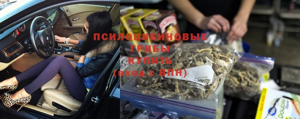 ГАЛЛЮЦИНОГЕННЫЕ ГРИБЫ Баксан