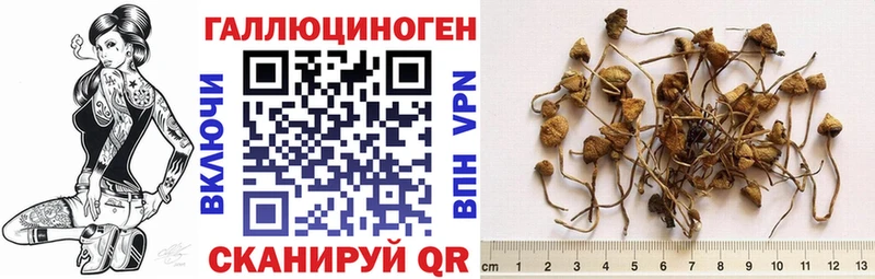 магазин продажи наркотиков Коммунар Галлюциногенные грибы мицелий